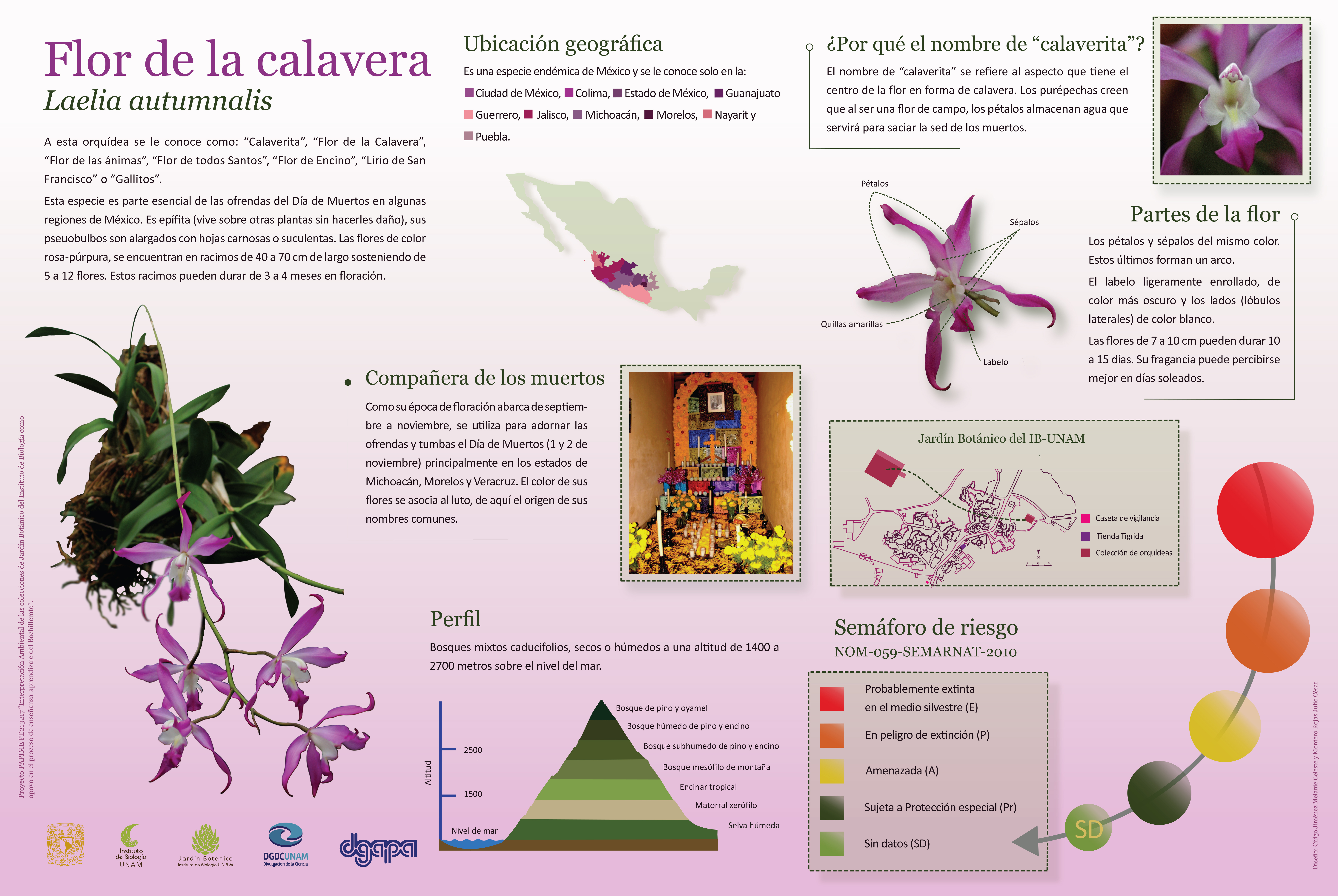 Infografías JB